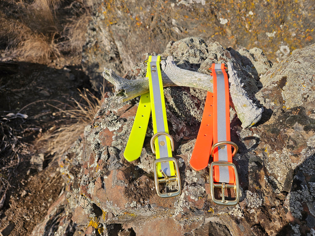 High Viz Sporting Dog O-Ring Collar