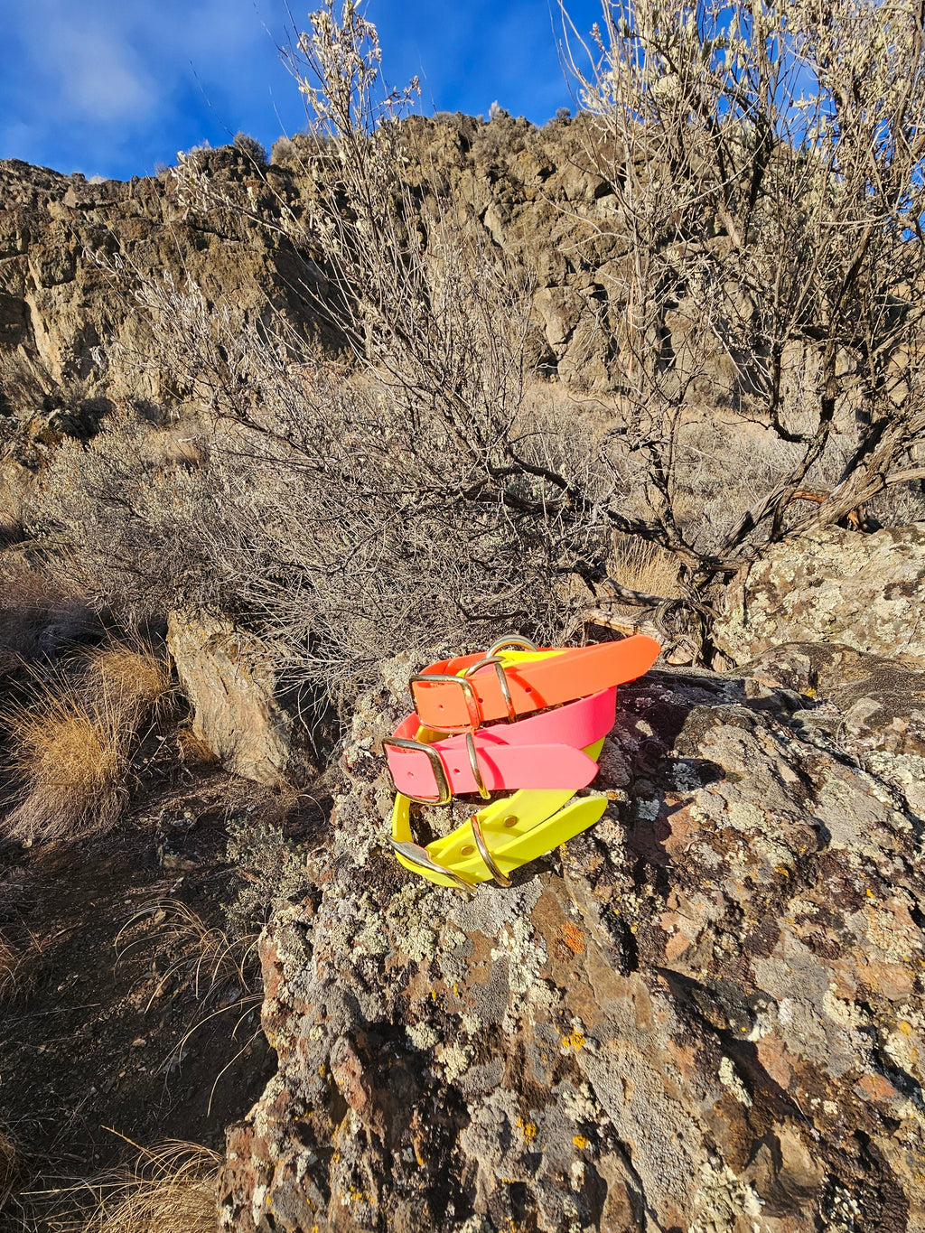 Sporting Dog O-Ring Collar